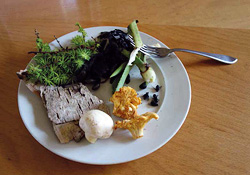 Een maaltijd met essentiële suikers: zeewier, paddestoelen, aloë vera, enkele insecten ... (foto: D. Koppenaal)